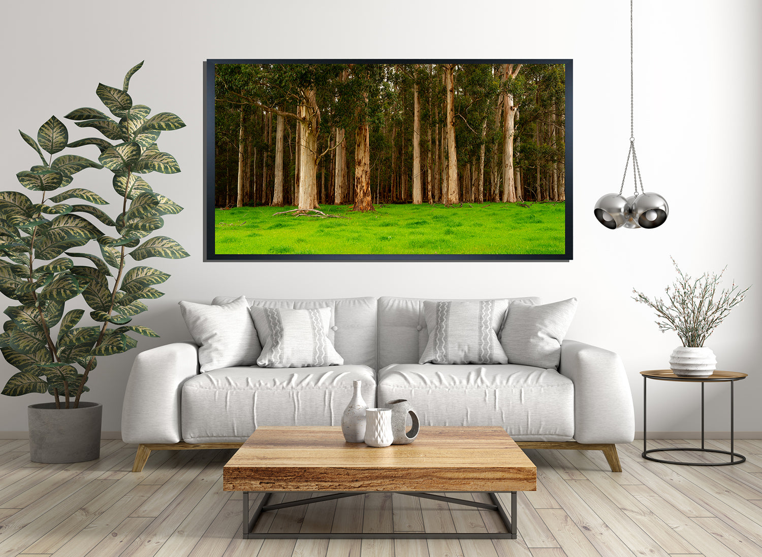 Tall Timbers of Pemberton Western Australia (0204)