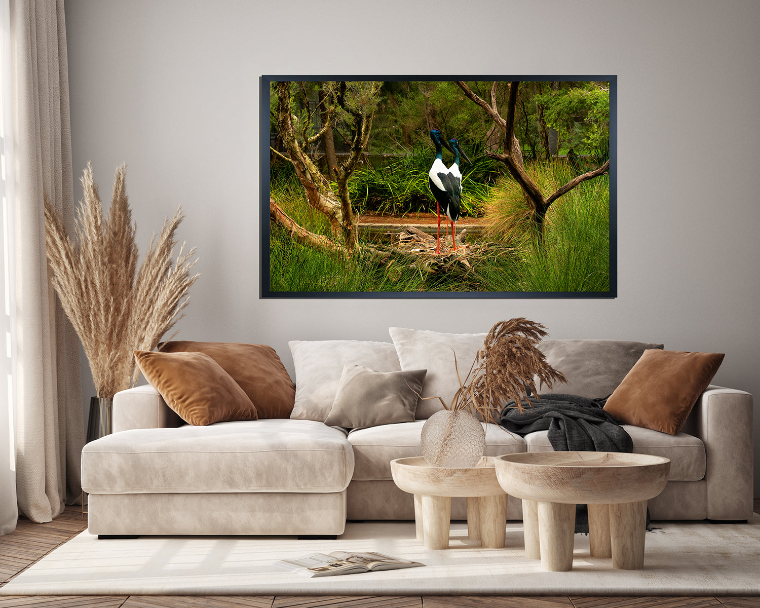 Black Necked Stork (6201)