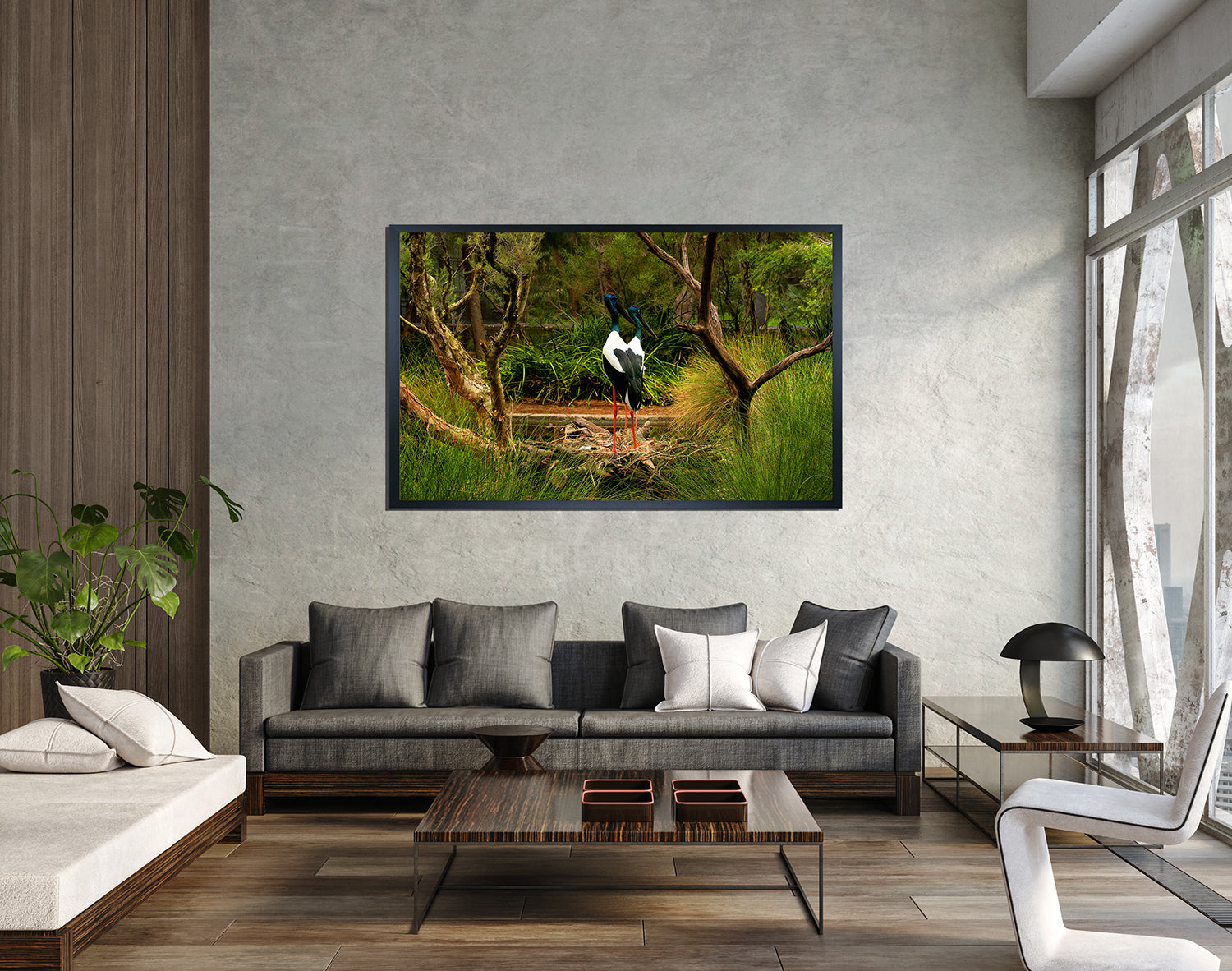 Black Necked Stork (6201)