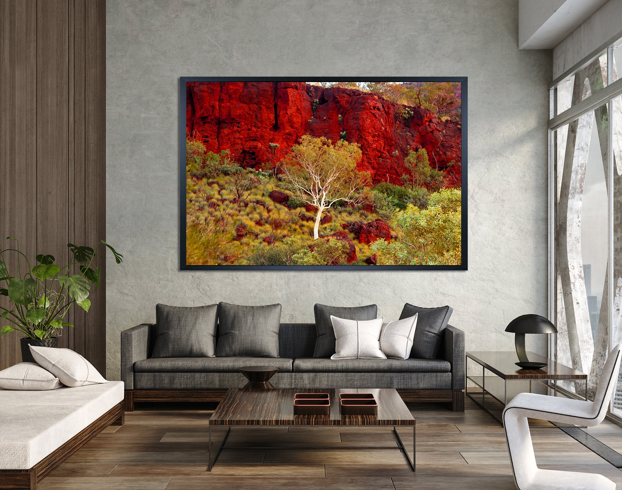 White Gums Pilbara Landscape (7375)