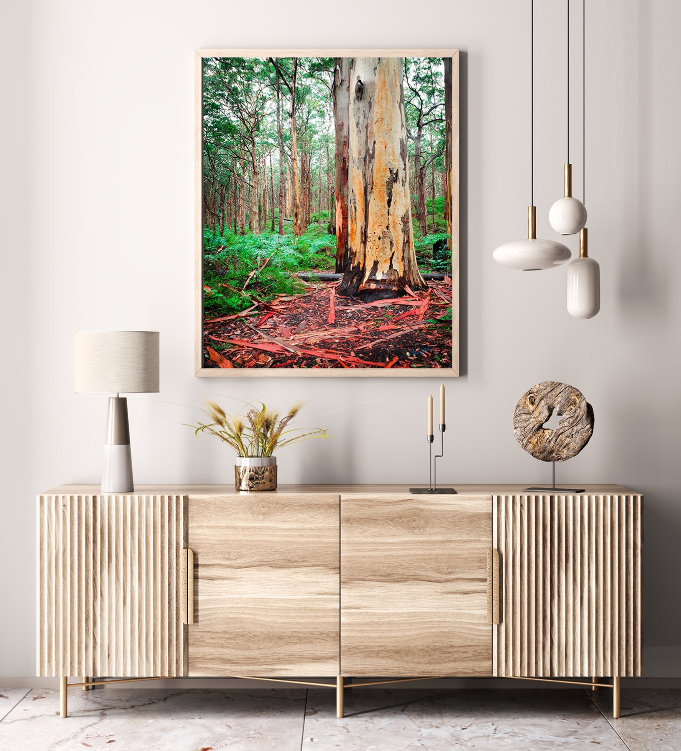 Boranup Forest Karri Giant (7461)