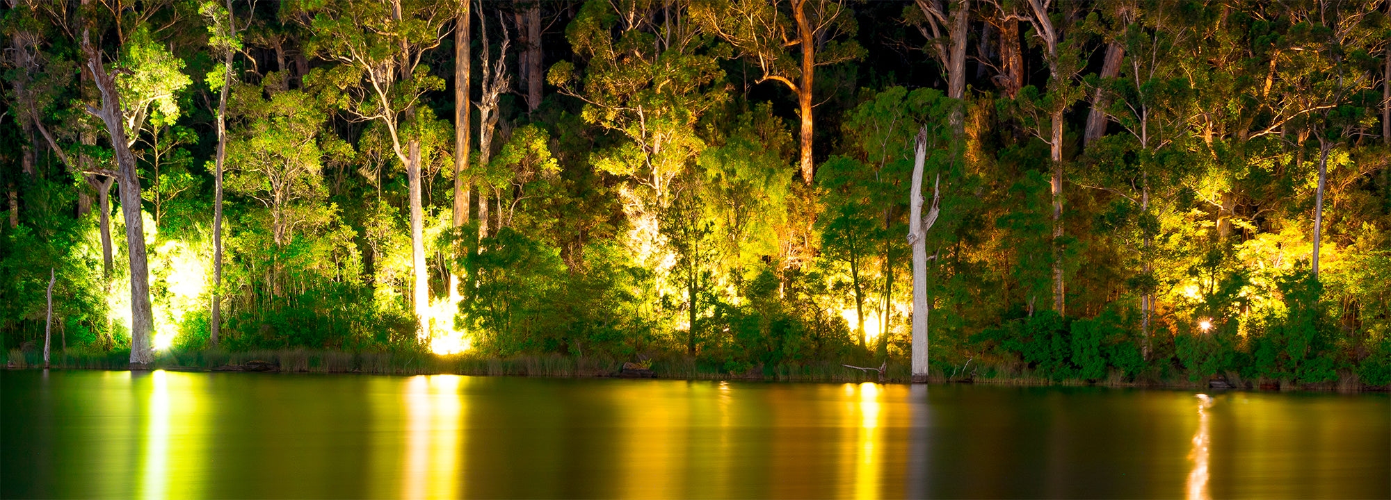 Night Reflections Of Karri Valley (0746)