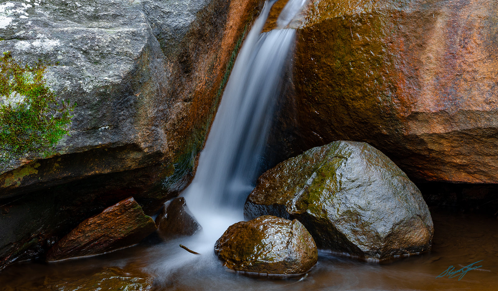 Araluen Botanical Gardens | Waterfalls Perth