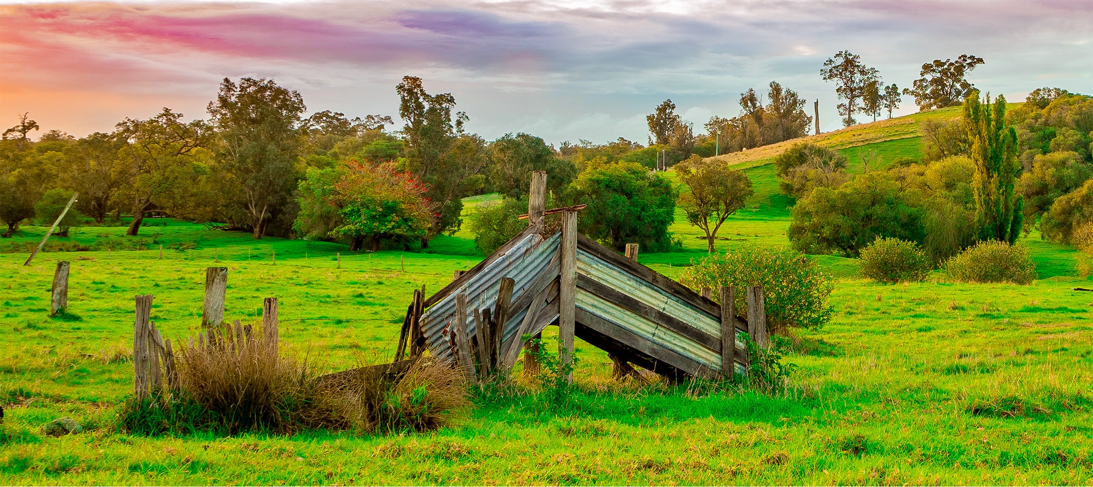 Farm Photography