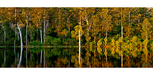 Sunrise Over The Lake Karri Valley Greeting Cards 10 Pack