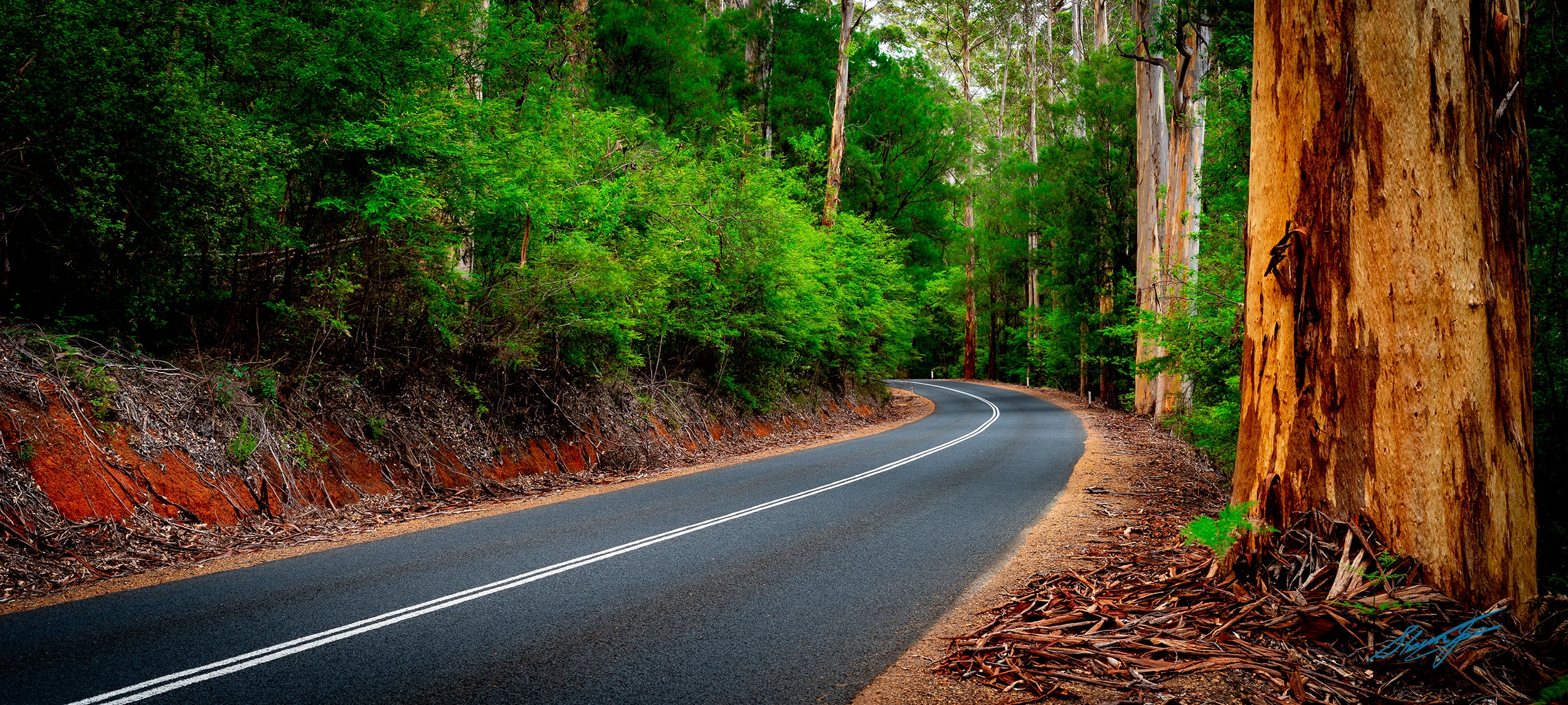 Winding Road Vasse Hwy (0281)
