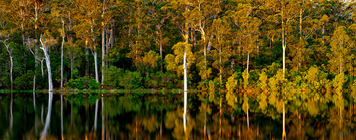 Karri Valley Resort Pemberton