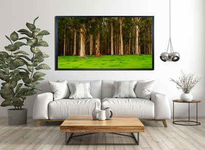 Tall Timbers of Pemberton Western Australia (0204)