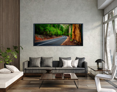 Winding Road Vasse Hwy (0281)
