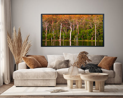 Lake Beedelup Karri Valley (0693)