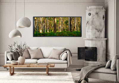 Boranup Forest Margaret River (1079)