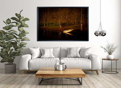Calm Mornings of Millbrook Winery (2133)