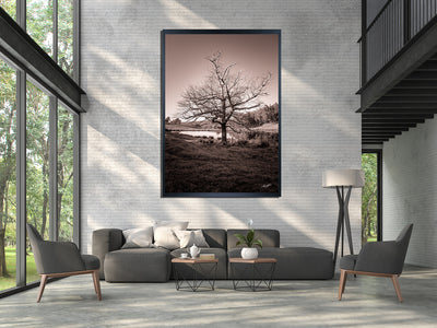 Standing Tall Millbrook Limited Edition