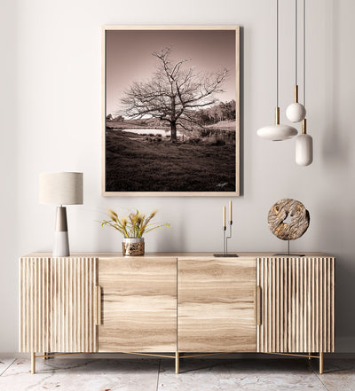Standing Tall Millbrook Limited Edition
