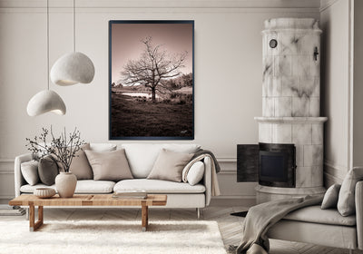 Standing Tall Millbrook Limited Edition