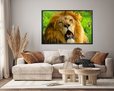 The Lion King