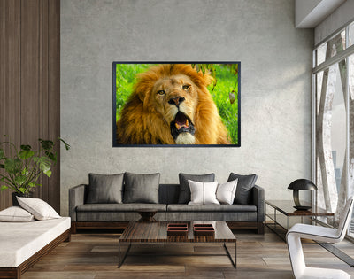The Lion King