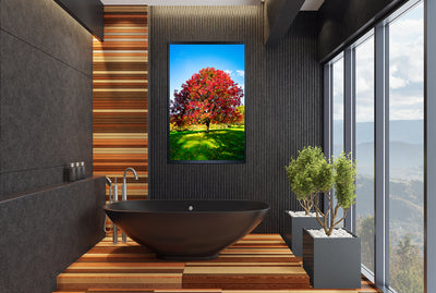 Balingup Seasons (3158)