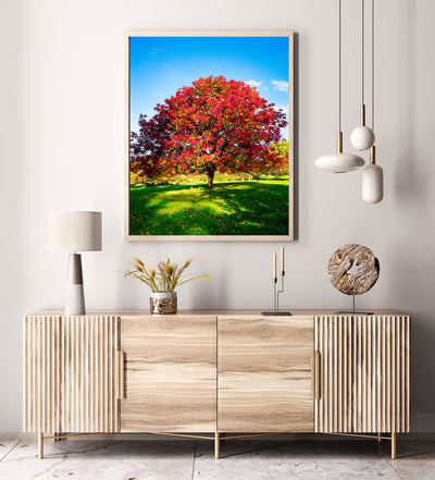 Balingup Seasons (3158)