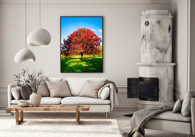 Balingup Seasons (3158)