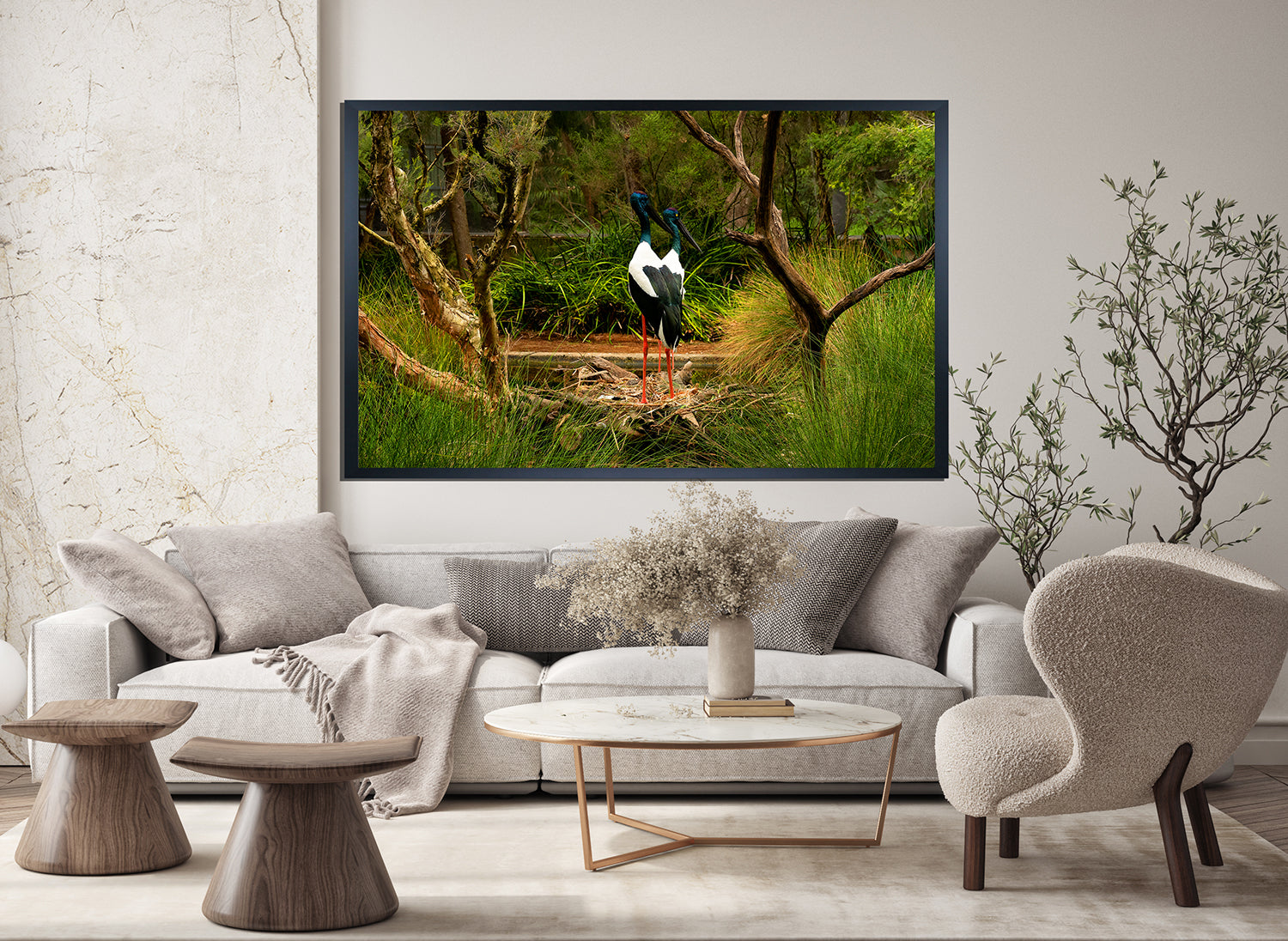 Black Necked Stork (6201)