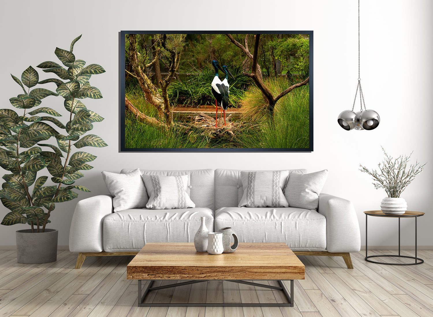Black Necked Stork (6201)