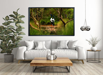Black Necked Stork (6201)