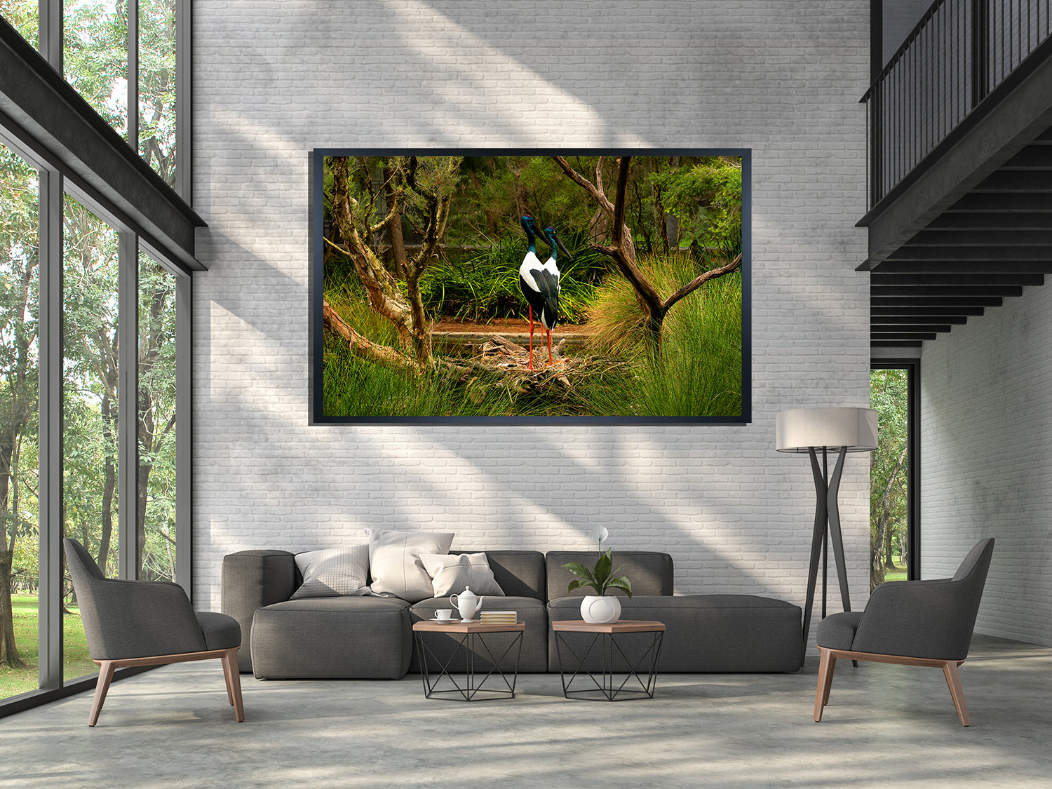 Black Necked Stork (6201)