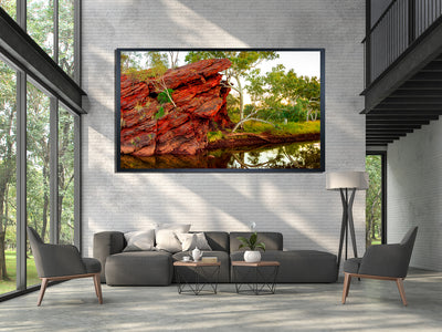 Tiger Eye The Pilbara Western Australia (7235)