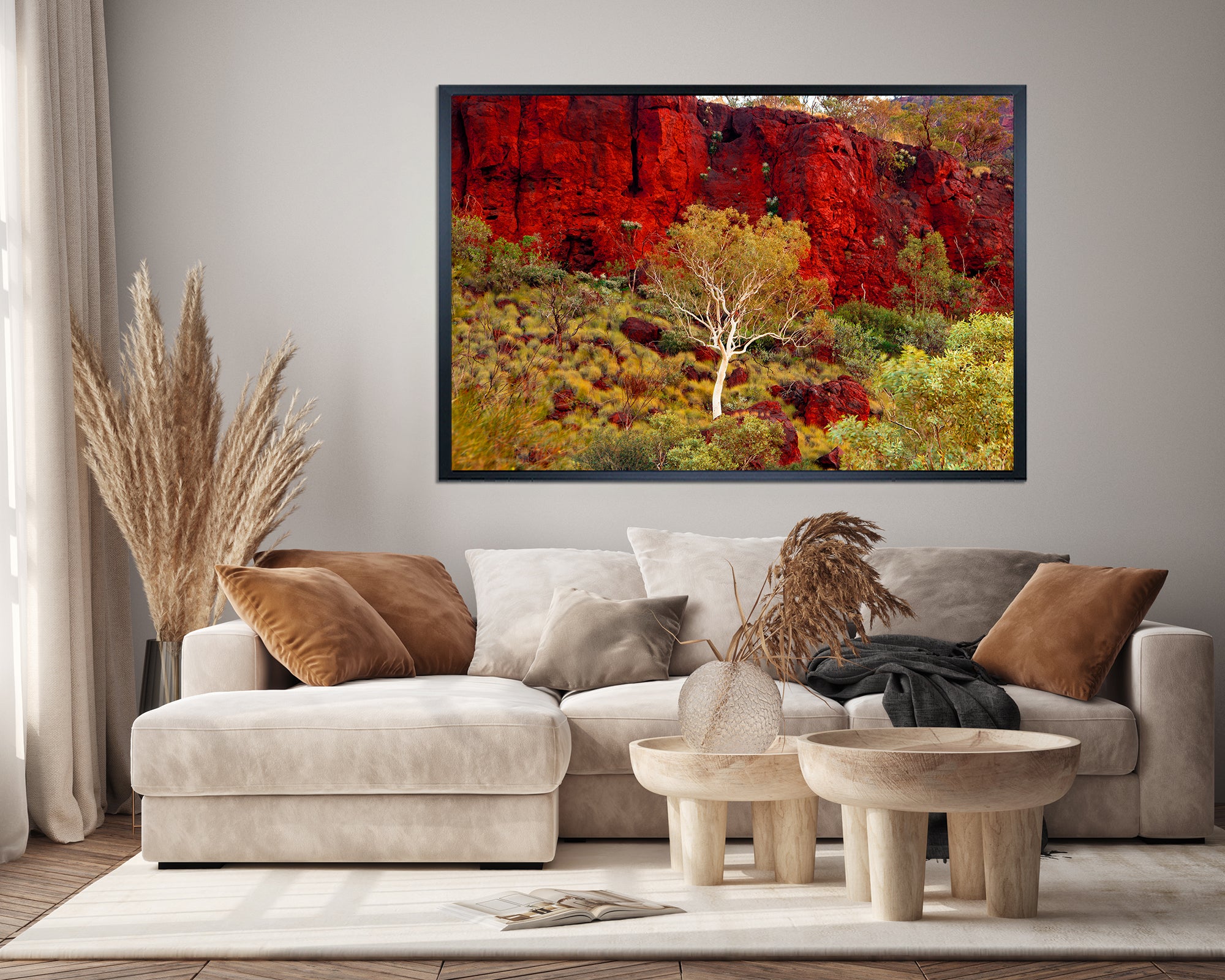 White Gums Pilbara Landscape (7375)