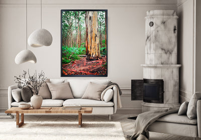 Boranup Forest Karri Giant (7461)