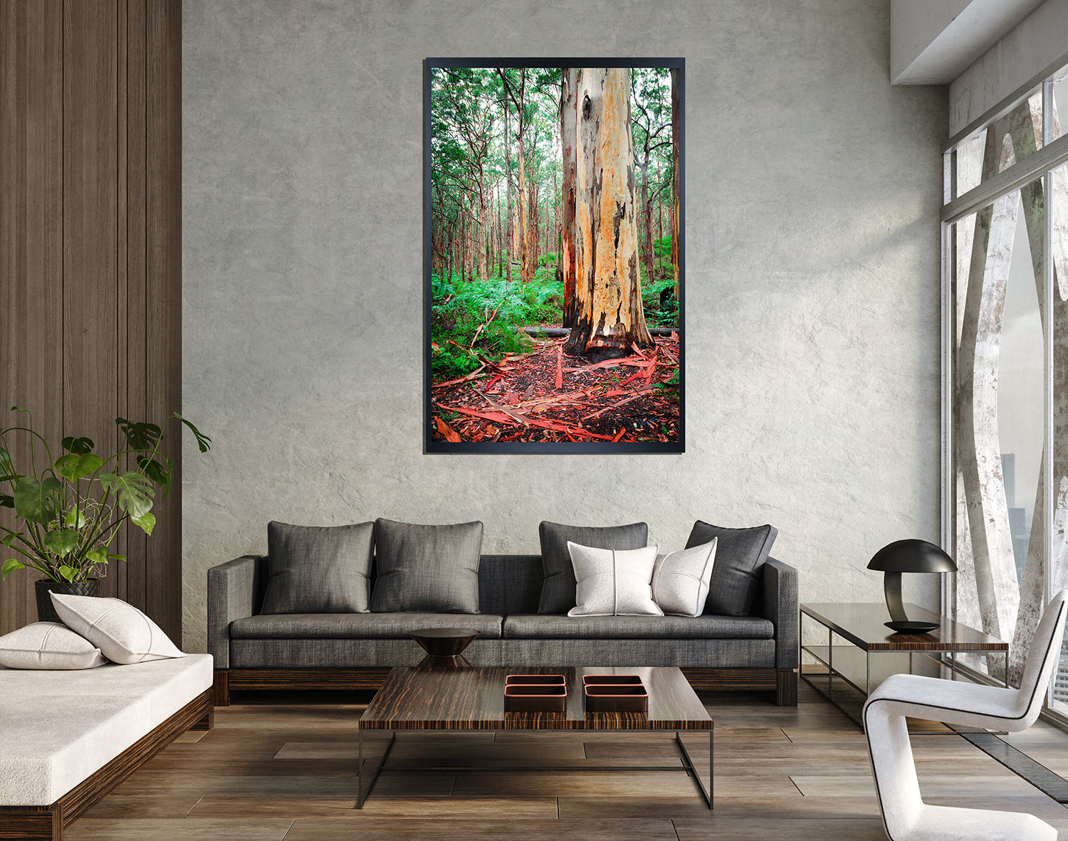 Boranup Forest Karri Giant (7461)