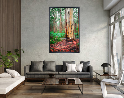 Boranup Forest Karri Giant (7461)