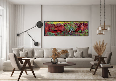 Red Earth The Pilbara