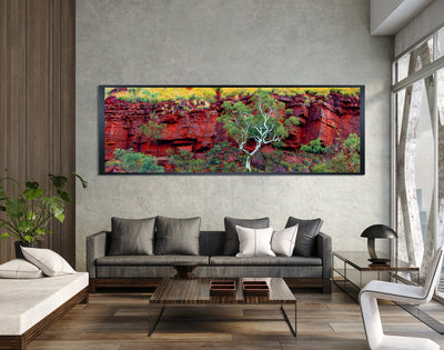 Red Earth The Pilbara