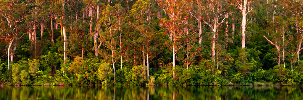 Firey Sunset Karri Valley Acrylic Block (0399)