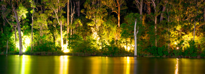 Night Reflections Of Karri Valley (0746)