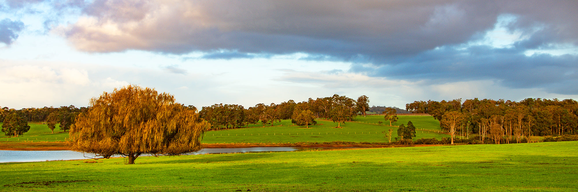Natural Glow Manjimup