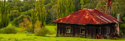 Ferguson Valley Cottage (6982)