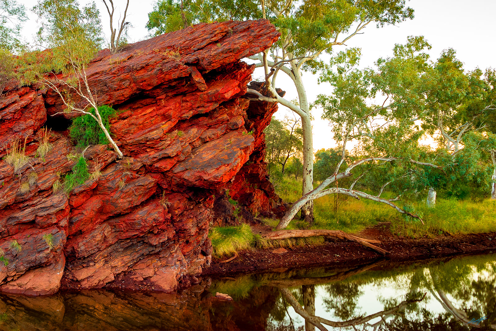 Tiger Eye The Pilbara Western Australia Acrylic Block (7235)