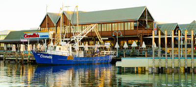 Cicerellos Fremantle