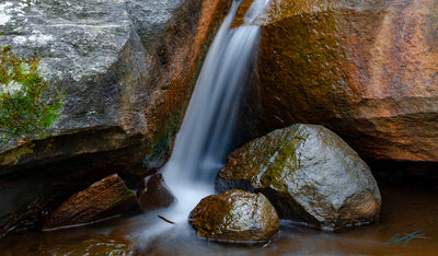 Araluen Botanical Gardens | Waterfalls Perth