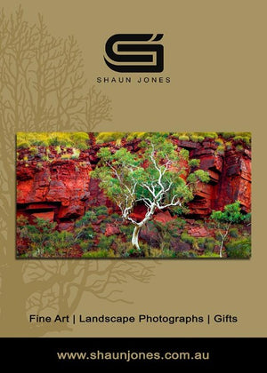 Mt Nameless Western Australia Magnet