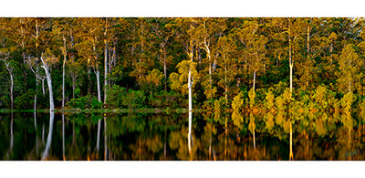Sunrise Over The Lake Karri Valley Greeting Cards 10 Pack