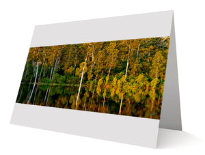 Sunrise Over The Lake Karri Valley Greeting Cards 10 Pack