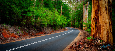 Winding Road Vasse Hwy (0281)