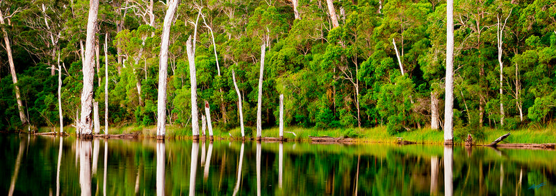 Lake Beedelup Pemberton Karri Valley Resort