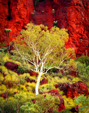 Pilbara Landscape Photography